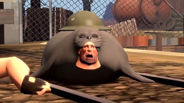 Meet The Seal