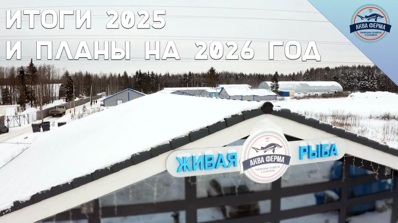 Итоги 2025 и планы на 2026 год смотреть онлайн