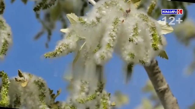 Ученики 14 школы стали победителями и были признаны лучшими «Юными экскурсоводами России» смотреть онлайн