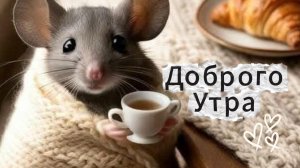 доброе утро открытки ☀️