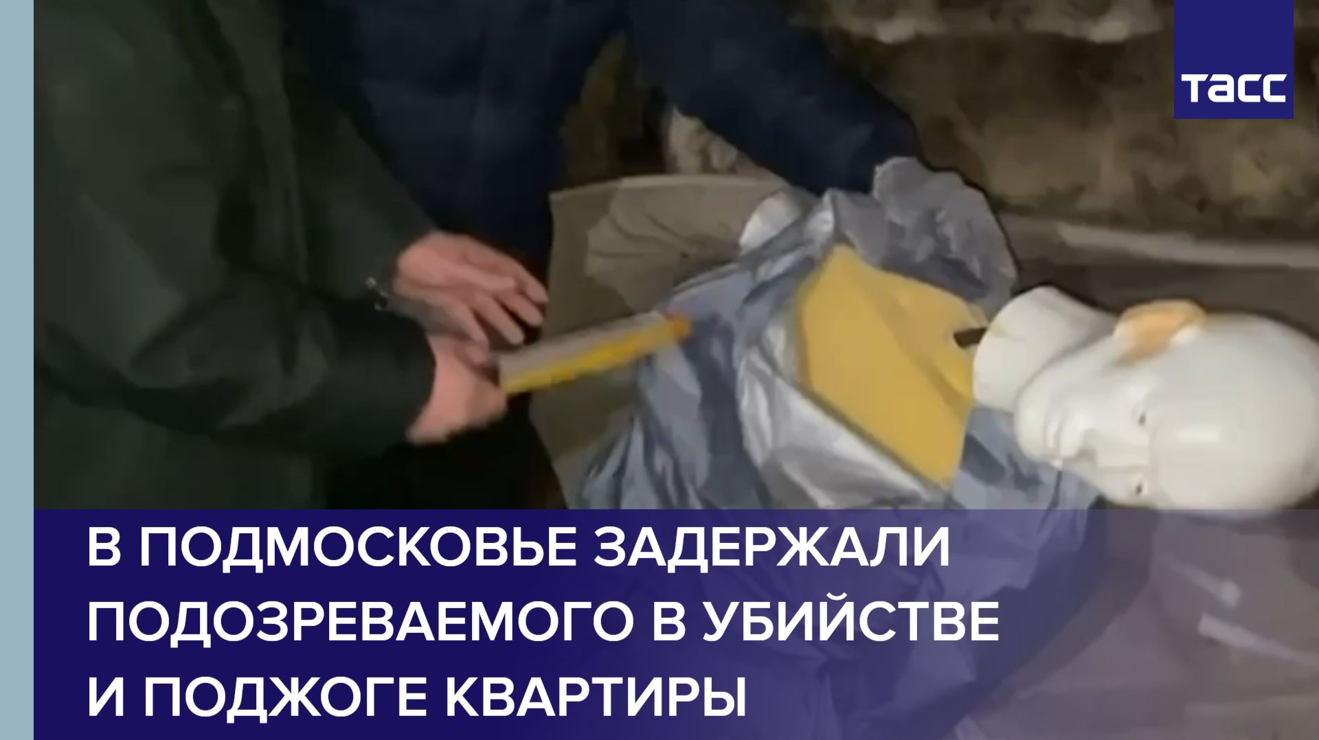 В Подмосковье задержали подозреваемого в убийстве и поджоге квартиры смотреть онлайн