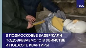 В Подмосковье задержали подозреваемого в убийстве и поджоге квартиры