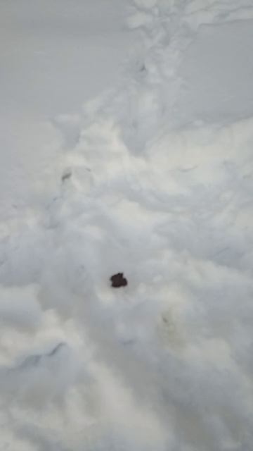 расклеиваем