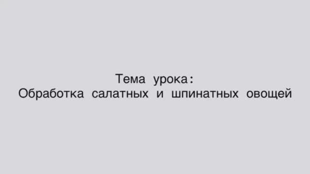 651, МДК 01.01, 26.01.2026 - Обработка салатных и шпинатных овощей смотреть онлайн