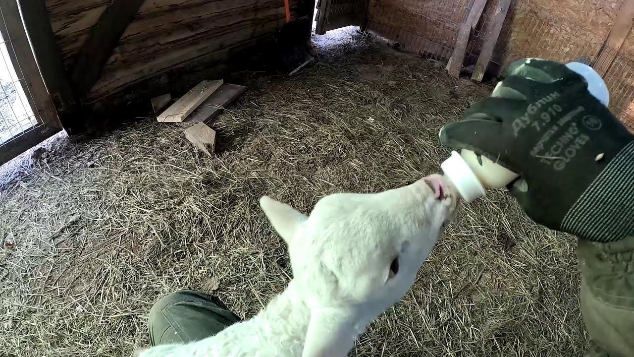 Мороз на хуторе ! Вторая антенна и интернет полетел ! ХУТОР В ЛЕСУ №918