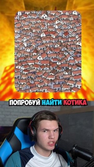 НЕ ПРОЛИСТЫВАЙ, Пока Не Найдёшь КОТИКА!🐱👀 #shorts #шортс #челлендж #тест #прикол #животные #кот #м
