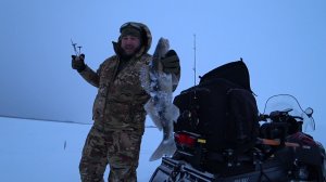 Загадка Белого озера: Двухдневный зимний экспромт с ночёвкой на базе | Рыбалка вслепую