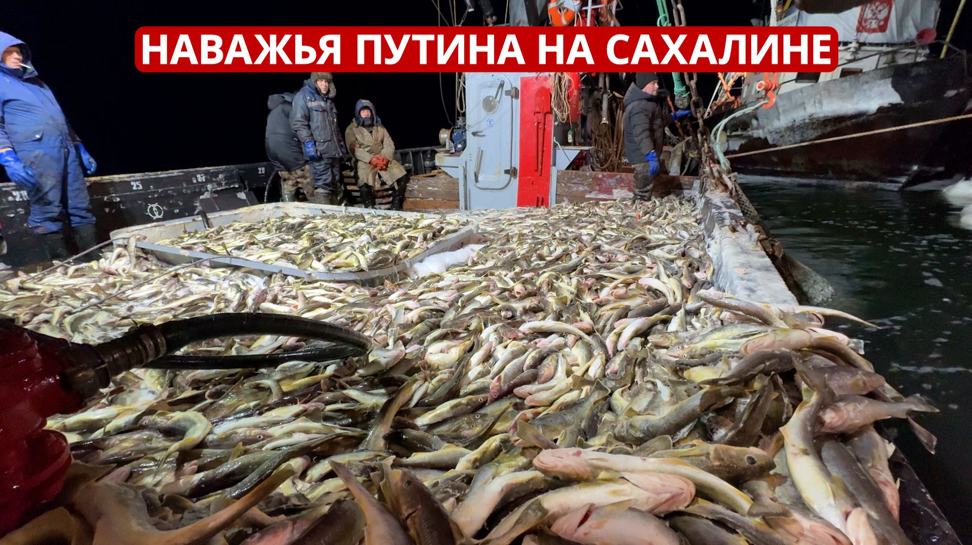 СПЕЦРЕП. Наважья путина на Сахалине смотреть онлайн