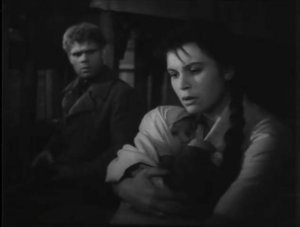 Рассказы о юности (1961)