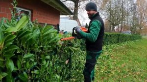 Нас ждал СЮРПРИЗ: хозяин купил ВОЗДУХОДУВКУ для сбора ОПАВШИХ ЛИСТЬЕВ