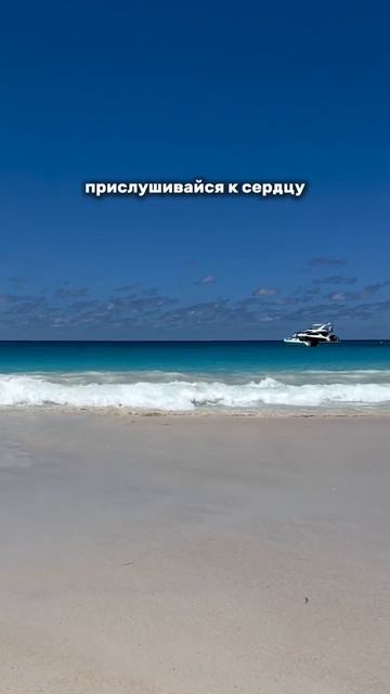 . смотреть онлайн