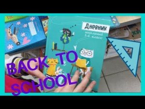 Выбираю ДНЕВНИК. BACK TO SCHOOL 2019 / Семейка Басиков и Мисс Фаина