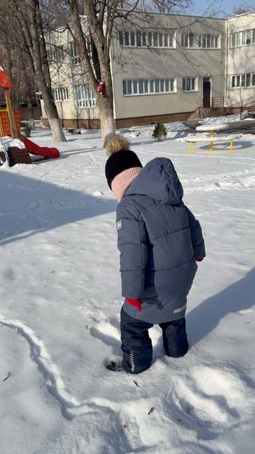 IMG_1503 смотреть онлайн