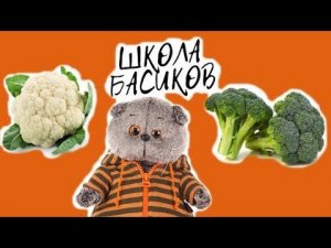 БАСИКИ посадили Цветную капусту и Брокколи на уроке ОКРУЖАЮЩЕГО МИРА / Семейка Басиков #школабасиков
