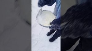 мороженное на снегу