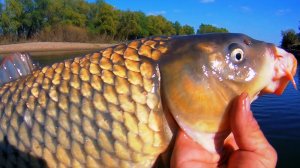 СЕГОДНЯ КЛЮЮТ МОНСТРЫ