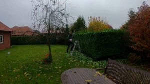 Успели сделать ОСЕННЮЮ обрезку за день ДО ЗАМОРОЗКОВ