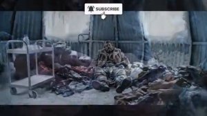 Выжить в авиакатастрофе.