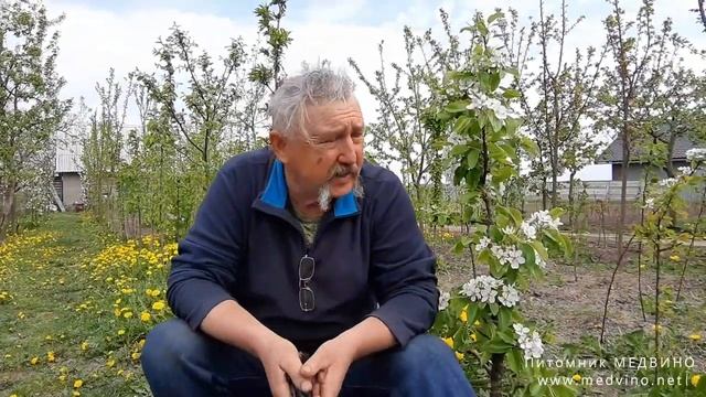 О сроках весенней прививки смотреть онлайн