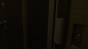 Распашной лифт OTIS V=1 м-с, Q=320 кг (5296)