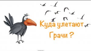 Развивающее видео для детей - Куда улетают Грачи ? Детям о птицах!