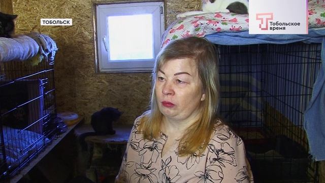 ДОМ ДЛЯ ДРУГА смотреть онлайн