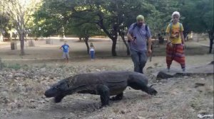 Путешествие. остров Комодо