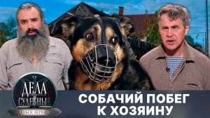 Дела судебные с Дмитрием Агрисом. Деньги верните! Эфир от 11.03.25