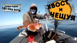 БАНКА ОКУНЁВАЯ, ПОД НАХОДКОЙ 🐟🐟🔥 ТРЕСКА И БЫЧКИ 19.06.2024.