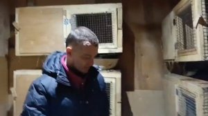 Как правильно содержать кроликов.Условия.