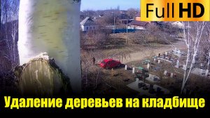 Спил деревьев на кладбище в Краснодаре и крае