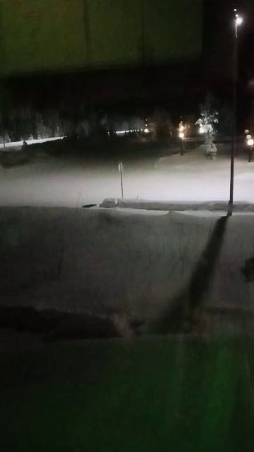 Всем приветули 😋