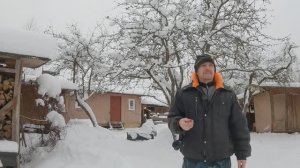 Про 10 лет жизни в деревне и зимняя жизнь и яйцо, спрятанных от лисы кур несушек!