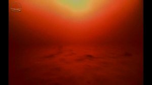 Подводные съёмки.