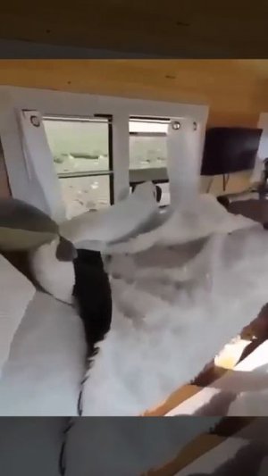 Видео от HackAvto – Лайфхаки и фишки для авто