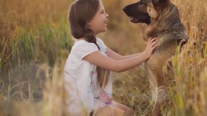 ИСТОРИЯ ОДНОЙ ДРУЖБЫ: ТРОГАТЕЛЬНАЯ СУДЬБА СОБАКИ ПО КЛИЧКЕ ДРУЖОК