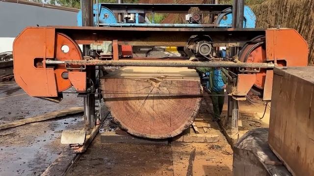 Огромный ствол дерева, распиловка ленточной пилой. смотреть онлайн