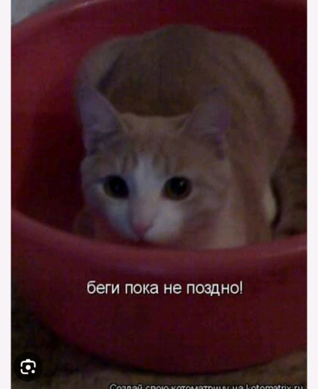 гдеголд