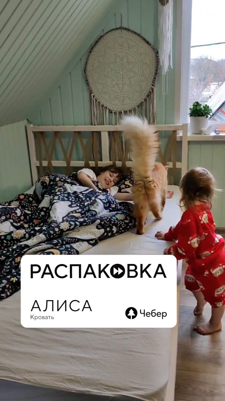 Семейная сборка кровати «Алиса» от Чебер: уют создаём вместе с детьми