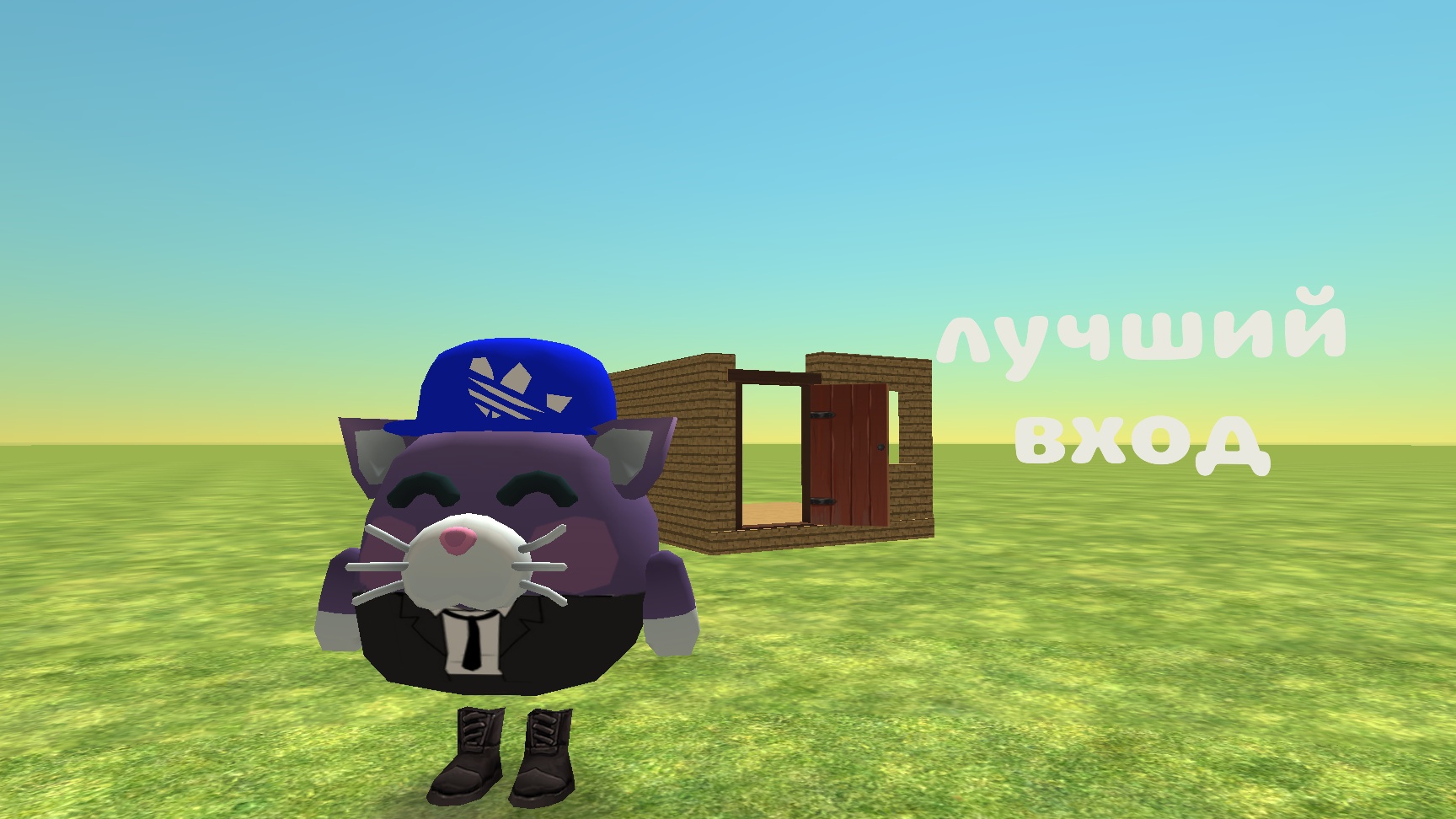 лучший вход в дом