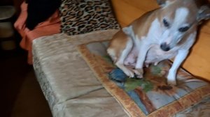 Анализ той ночи.