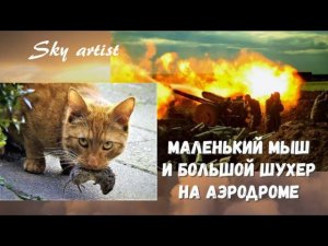 Зачем стрелять из гаубицы в мышь? Случай в Афганистане. Рассказ «Ночной бой»