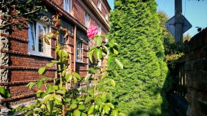 Дом-ковчег в Советске Калининградской области