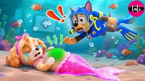Щенячий патруль и Маршалл. Залипательное видео. Мультфильм для детей и малышей. Анимация 109