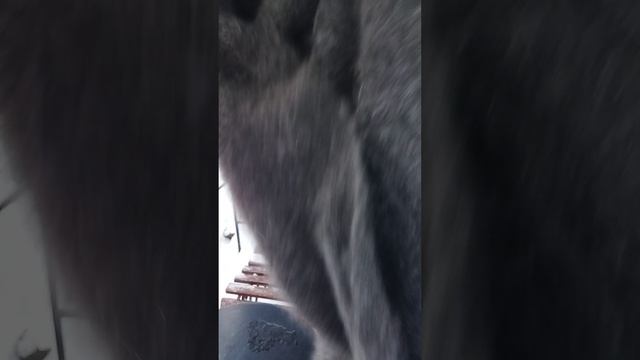 89507716355 Пуховый, тёплый, толстый плед ручной работы. Даст вам тепло и здоровье. смотреть онлайн