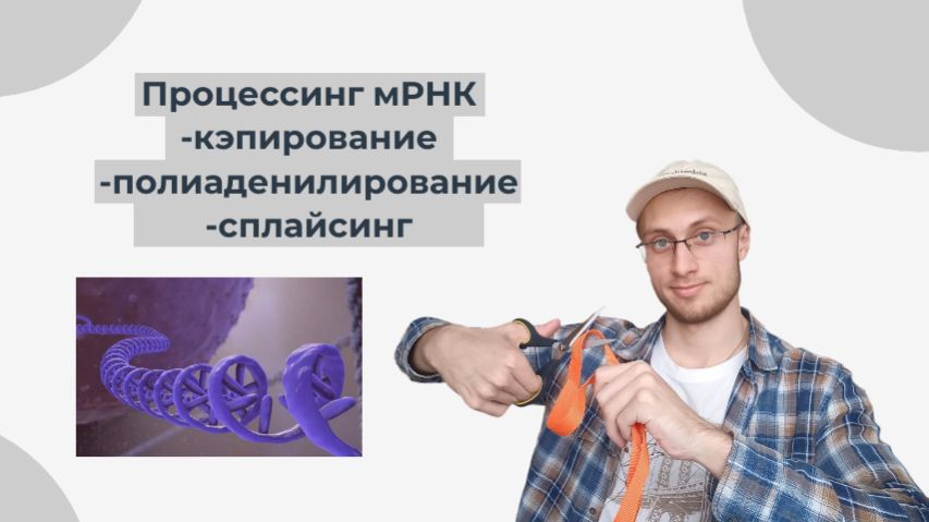 ПРОЦЕССИНГ мРНК! | Биология ЕГЭ 2026 смотреть онлайн