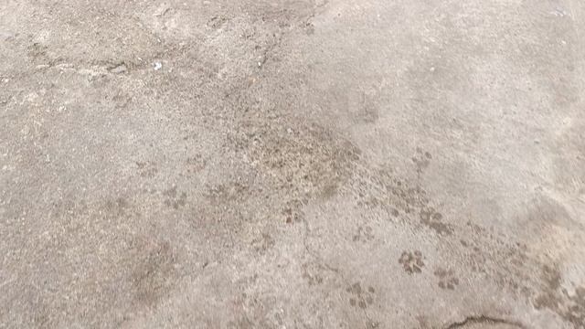 Рыбка вкусная смотреть онлайн