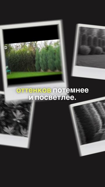 Свобода, комфорт и свой дом 🌿 смотреть онлайн