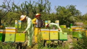 Бог даёт не мерою. Братья из Михайловки