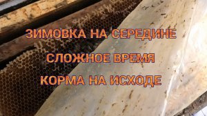 ЯНВАРСКИЙ КОНТРОЛЬ СЕМЕЙ.